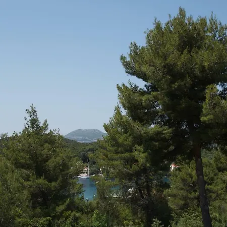 Vita Apartments * Zrnovo